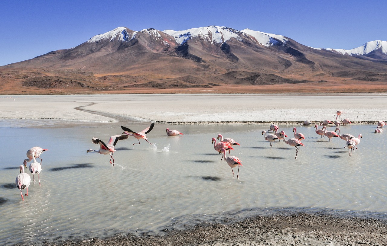 Sydamerikas bedste vandreruter: Tag på eventyr i imponerende natur